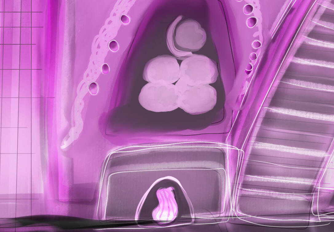 portfolio1